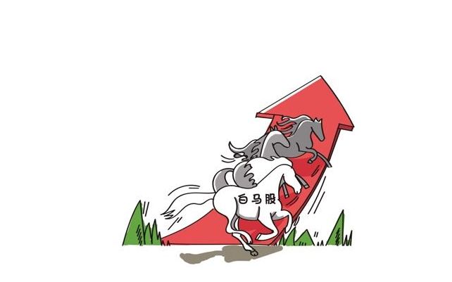 我們為何總是追逐“黑馬”卻錯失“白馬”？