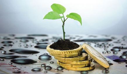 稽查執法“三管齊下” 資本市場嚴監管碰硬茬治大鱷