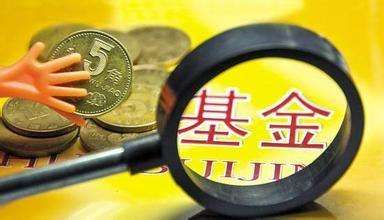 上半年基金權益產品賺錢榜 僅2家正收益