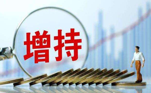 增持回購陣營持續擴大 兜底增持潮再現