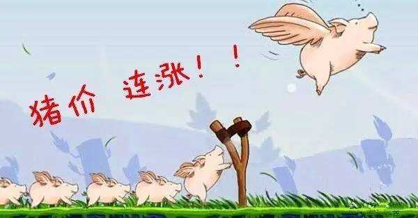 果蔬價格有望“季節性下行” 豬價上漲仍在“中途”