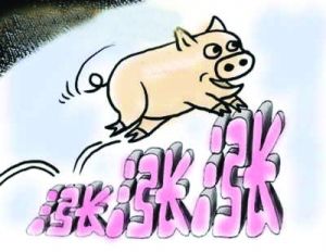 上市豬肉返廠的比例增加 北京肉價趨于平穩