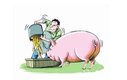 養豬概念股三季報逆轉 股價已經提前透支了？