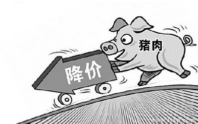 4月生豬產業發展指數繼續大幅回落 豬肉市場供求關系趨向緩解
