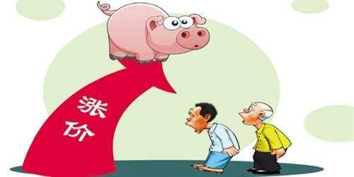 豬肉價格突然反彈！ 一公斤漲近7元 接下來怎么走？