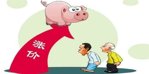 賺翻了！養豬半年凈利超100億 3300億“豬老大”又火了