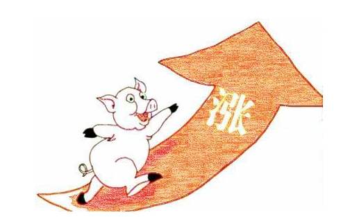 9月份頭部豬企生豬銷售放量疊加 對沖價格下滑影響維持行業高景氣度