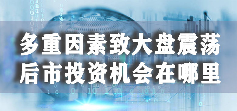 【中訊視點】2020-11-04