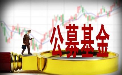 公募基金引領風向 A股專業投資駛入發展快車道